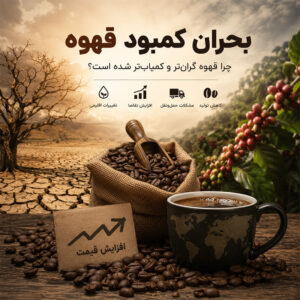 بحران کمبود قهوه در جهان؛ چرا خرید قهوه سخت‌تر و گران‌تر شده است؟